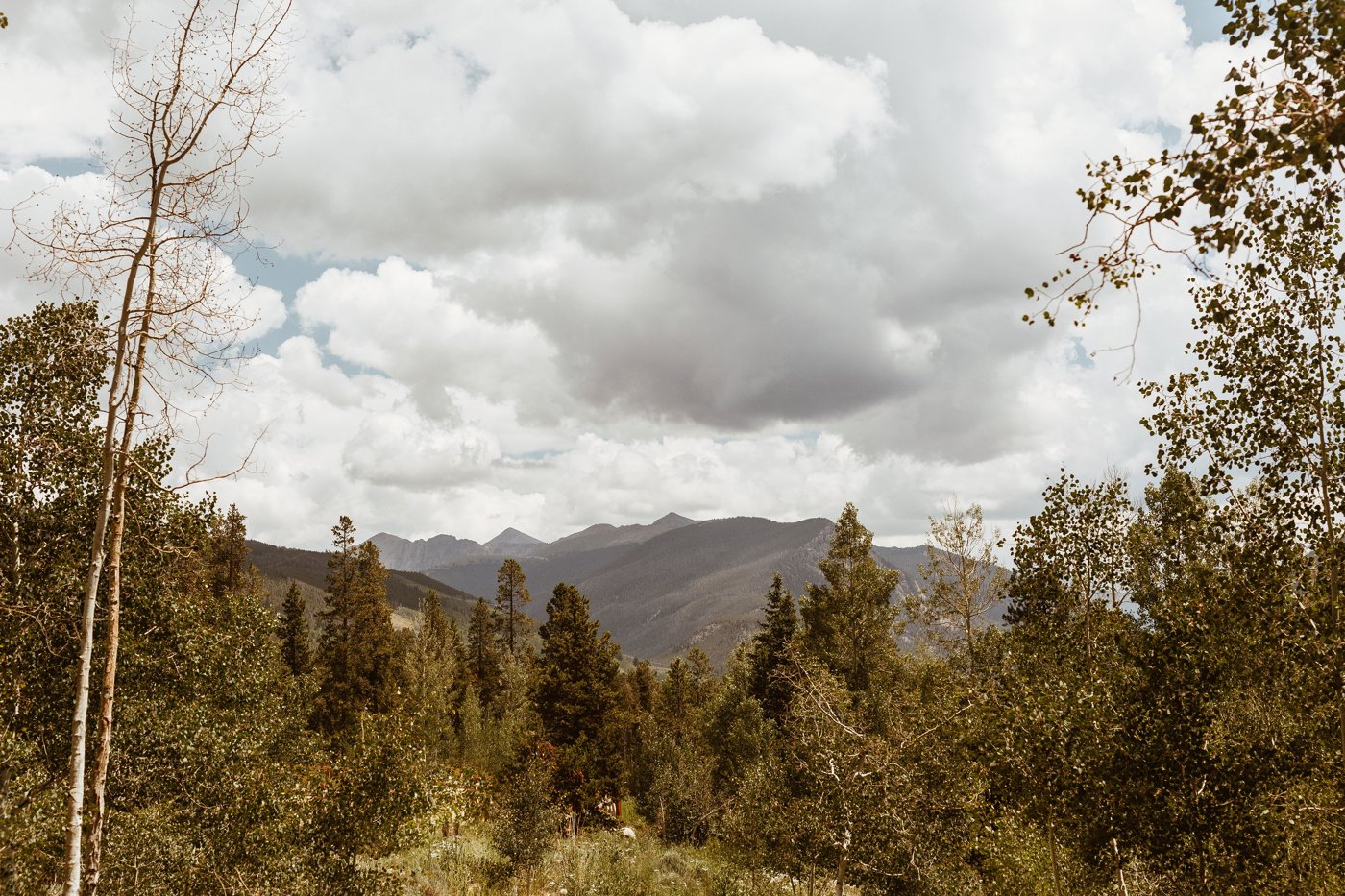 Breckenridge